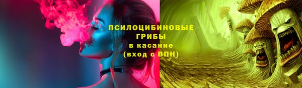 трава Белокуриха