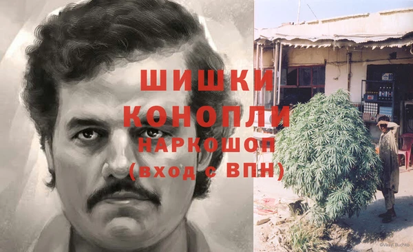 трава Белокуриха