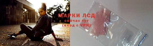 трава Белокуриха