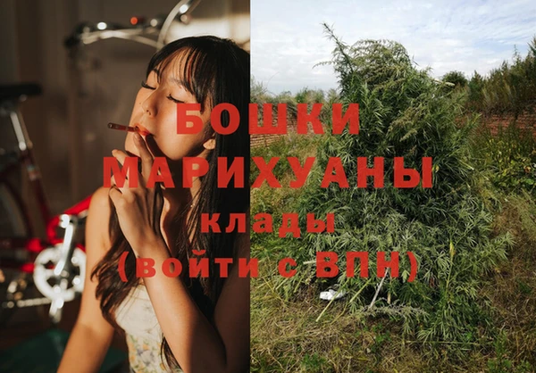 трава Белокуриха