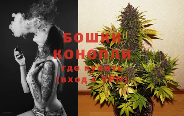 молекула духа Беломорск