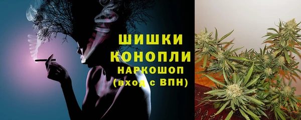 трава Белокуриха